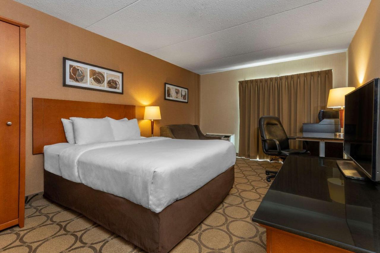 Comfort 3*